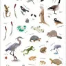 Backpack Explorer Stickers Nature Adventure