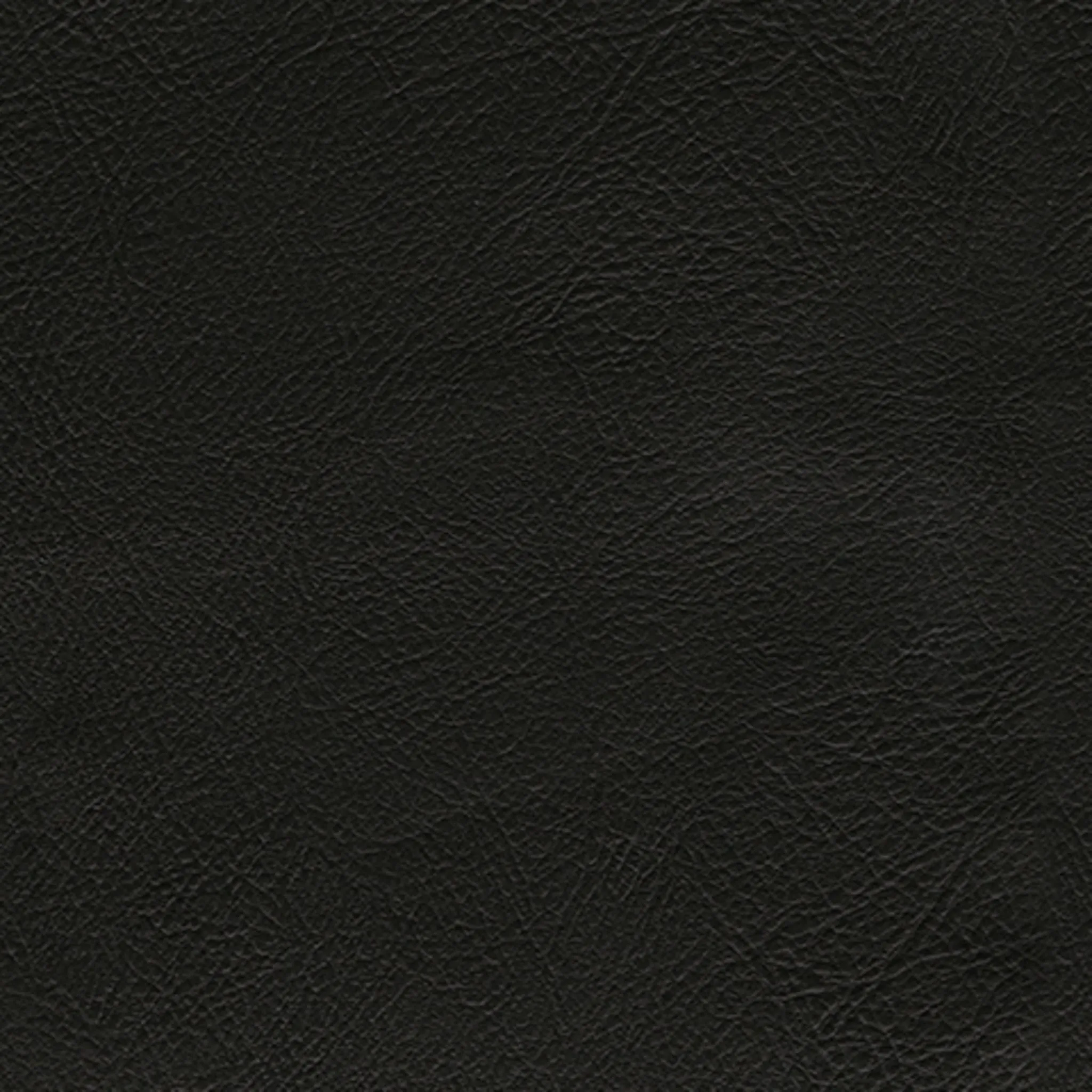 Betrillo Loveseat - Black