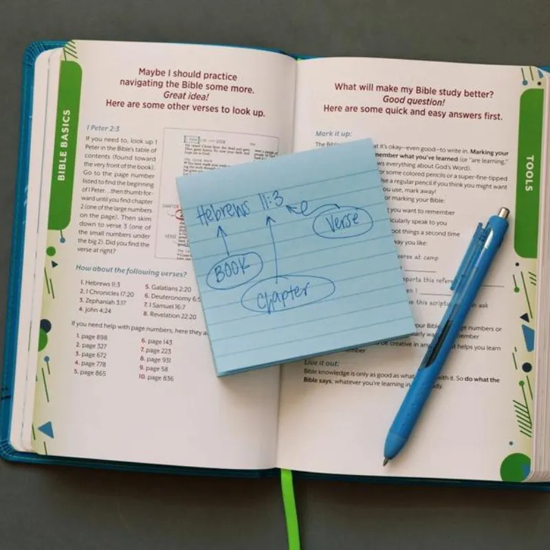 The Know Your Bible NLV Bible for Kids