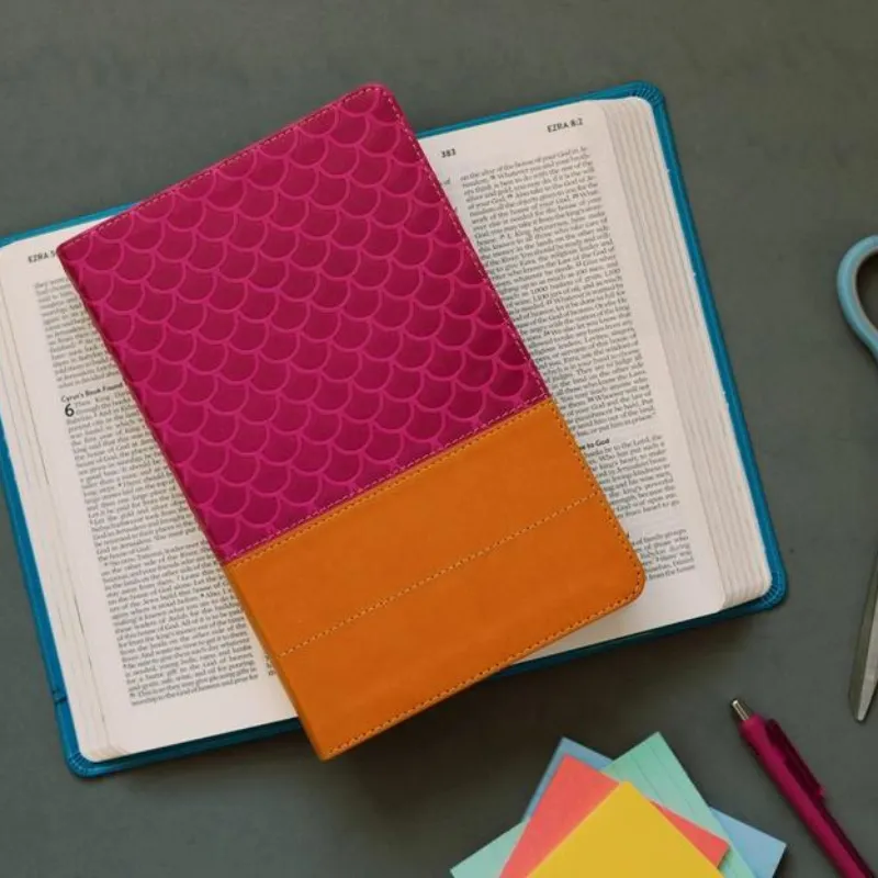 The Know Your Bible NLV Bible for Kids